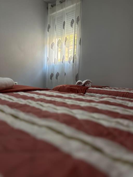Apartamento Turistico O.N Renfe Kordoba Zewnętrze zdjęcie